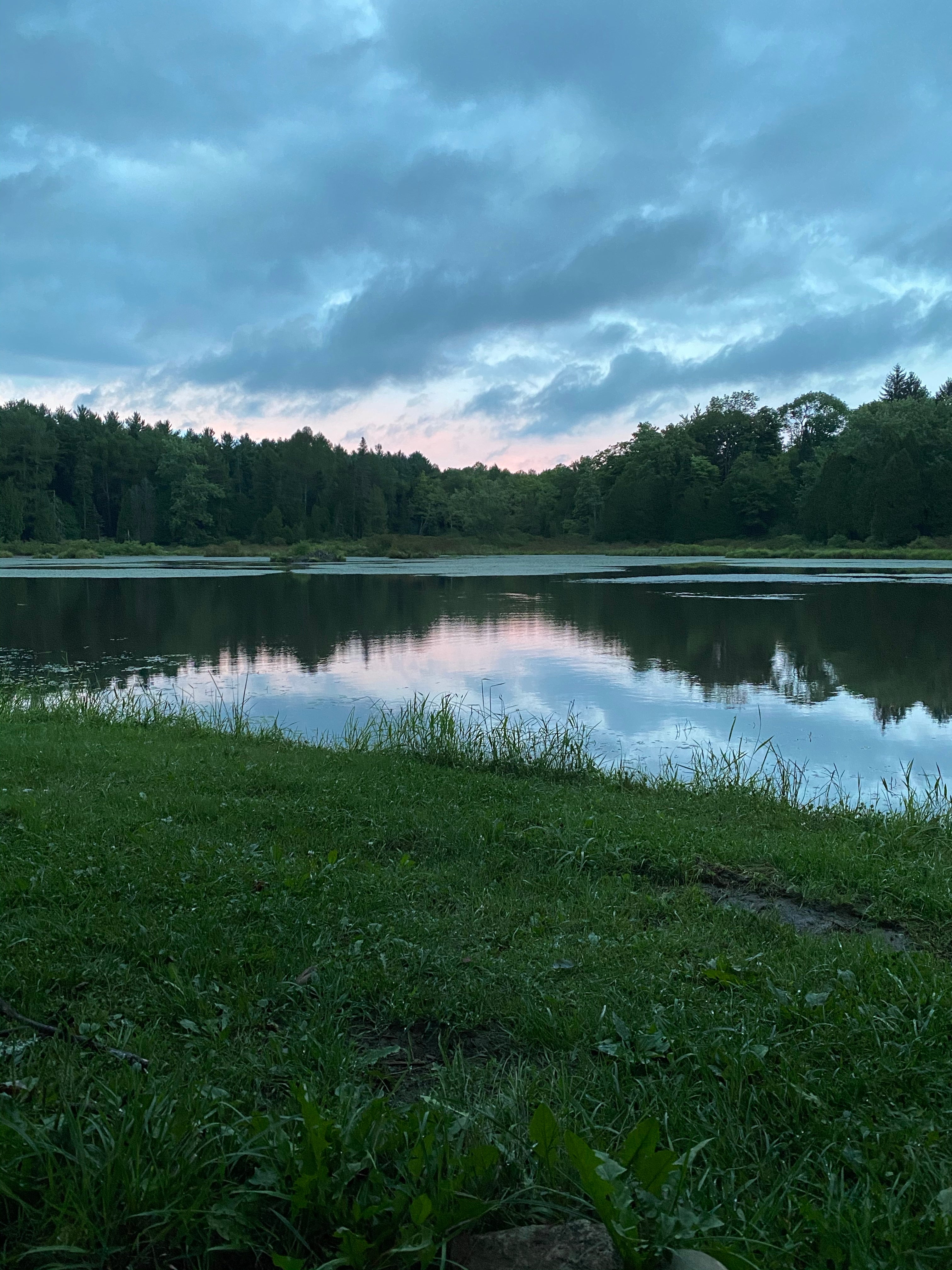 Camper submitted image from Palmers Pond State Forest - 2