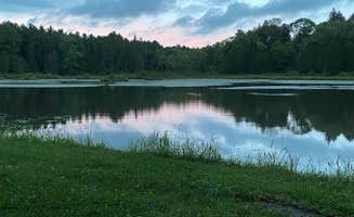 Matt M.'s photo of a dispersed camping area at Palmers Pond State Forest near Sabinsville, PA