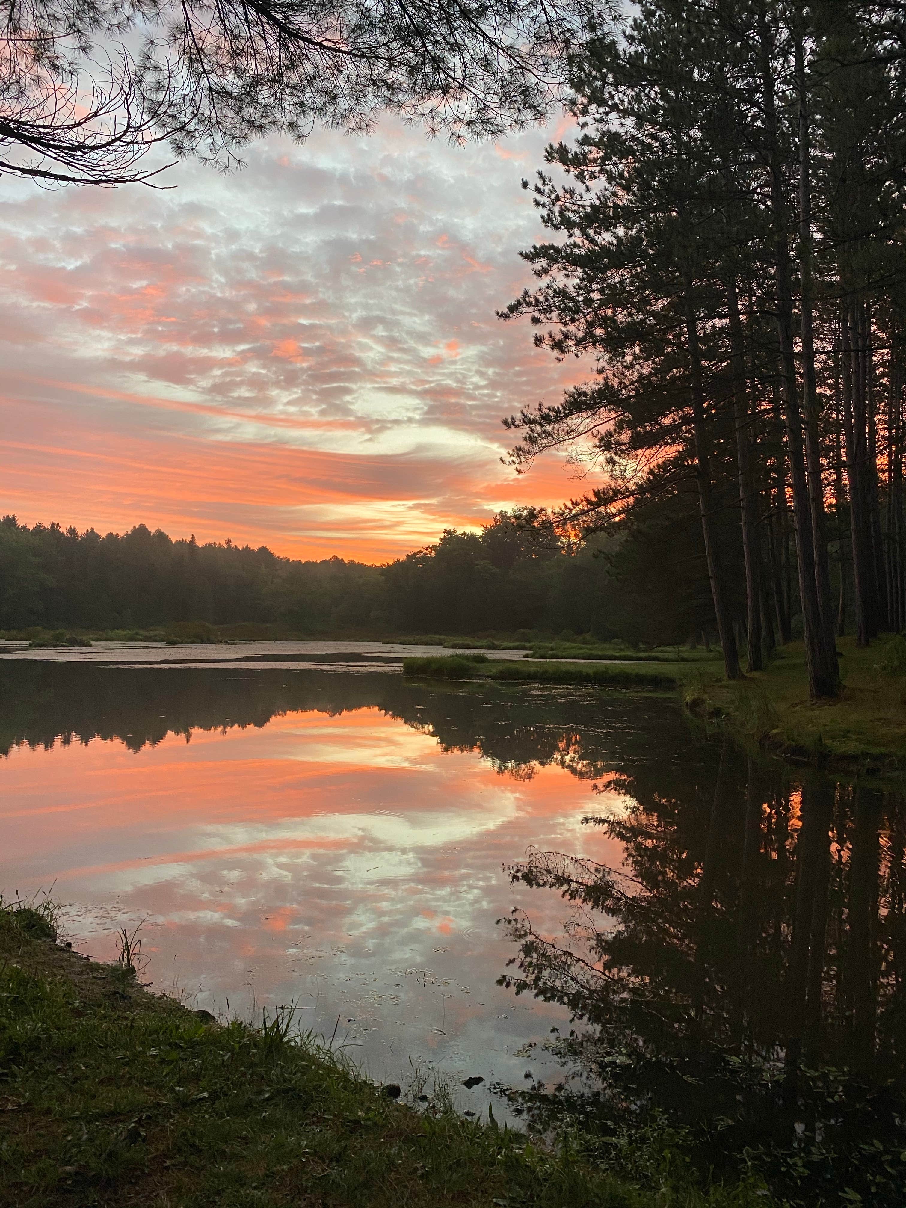 Camper-submitted photo at Palmers Pond State Forest near Nunda, NY