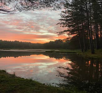 Camper-submitted photo from Palmers Pond State Forest
