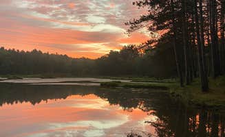 Matt M.'s photo of a dispersed camping area at Palmers Pond State Forest near Bloomfield, NY