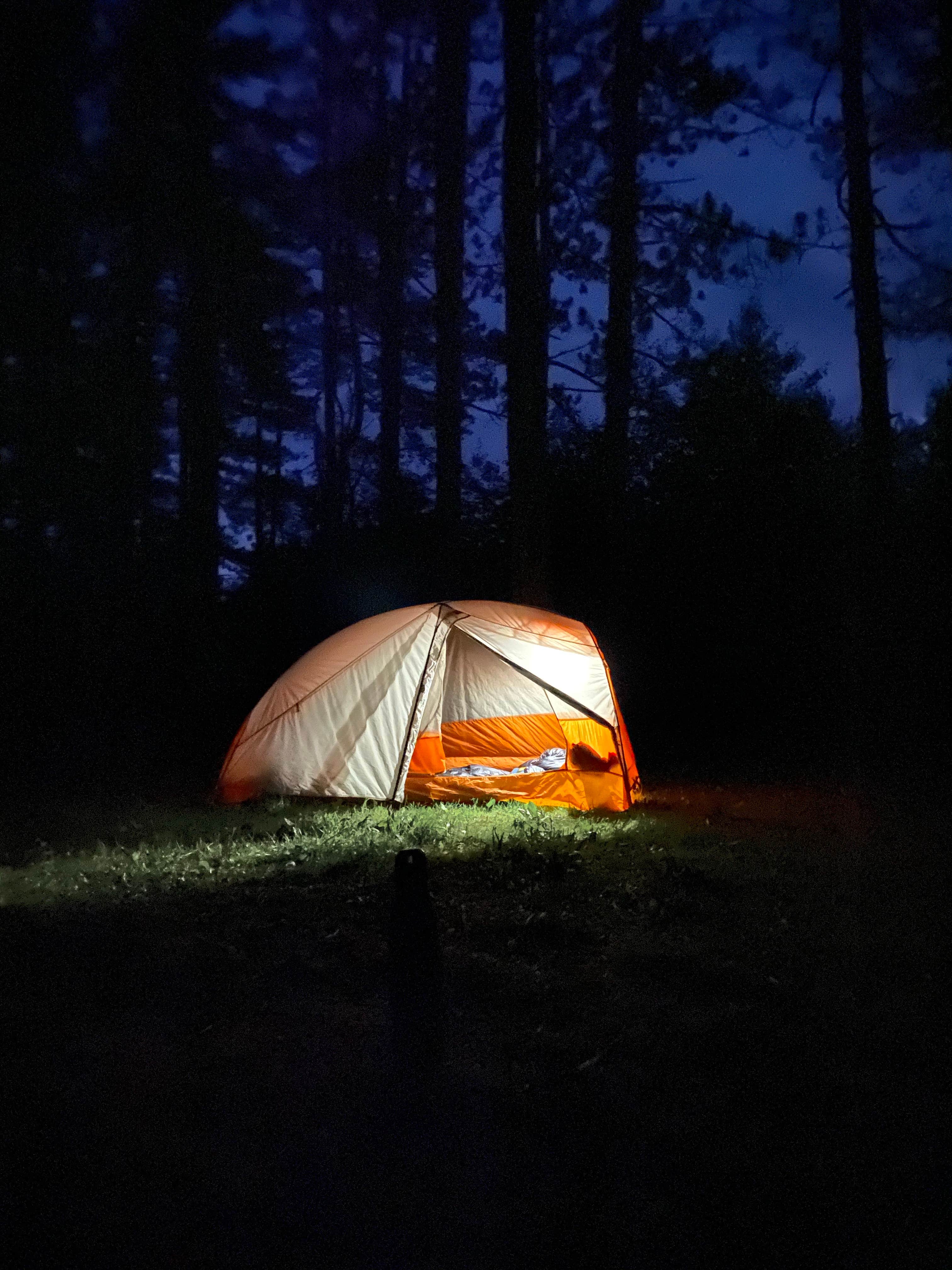Camper submitted image from Palmers Pond State Forest - 4