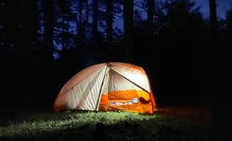 Matt M.'s photo at Palmers Pond State Forest near Dansville, NY