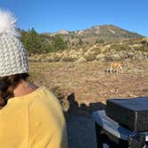 Review photo of Inyo National Forest Oh Ridge Campground by Corey M., September 3, 2020