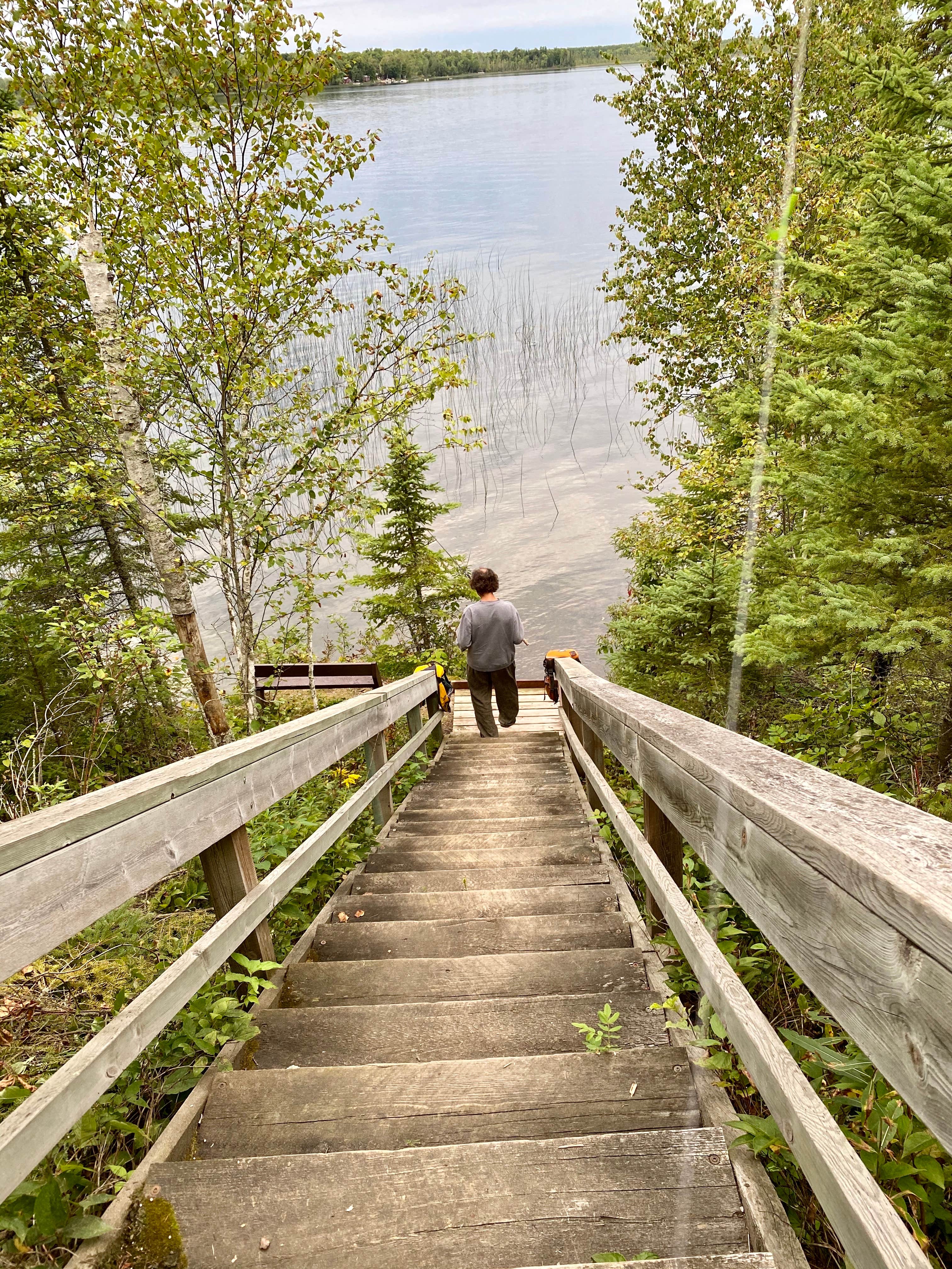 Camper submitted image from North Star — Chippewa National Forest - 4