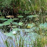 Review photo of Fred Gannon Rocky Bayou State Park by Deborah  P., September 3, 2020