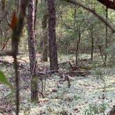 Review photo of Fred Gannon Rocky Bayou State Park by Deborah  P., September 3, 2020