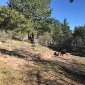 Review photo of Price Canyon Recreation Area by Jenny R., May 13, 2018