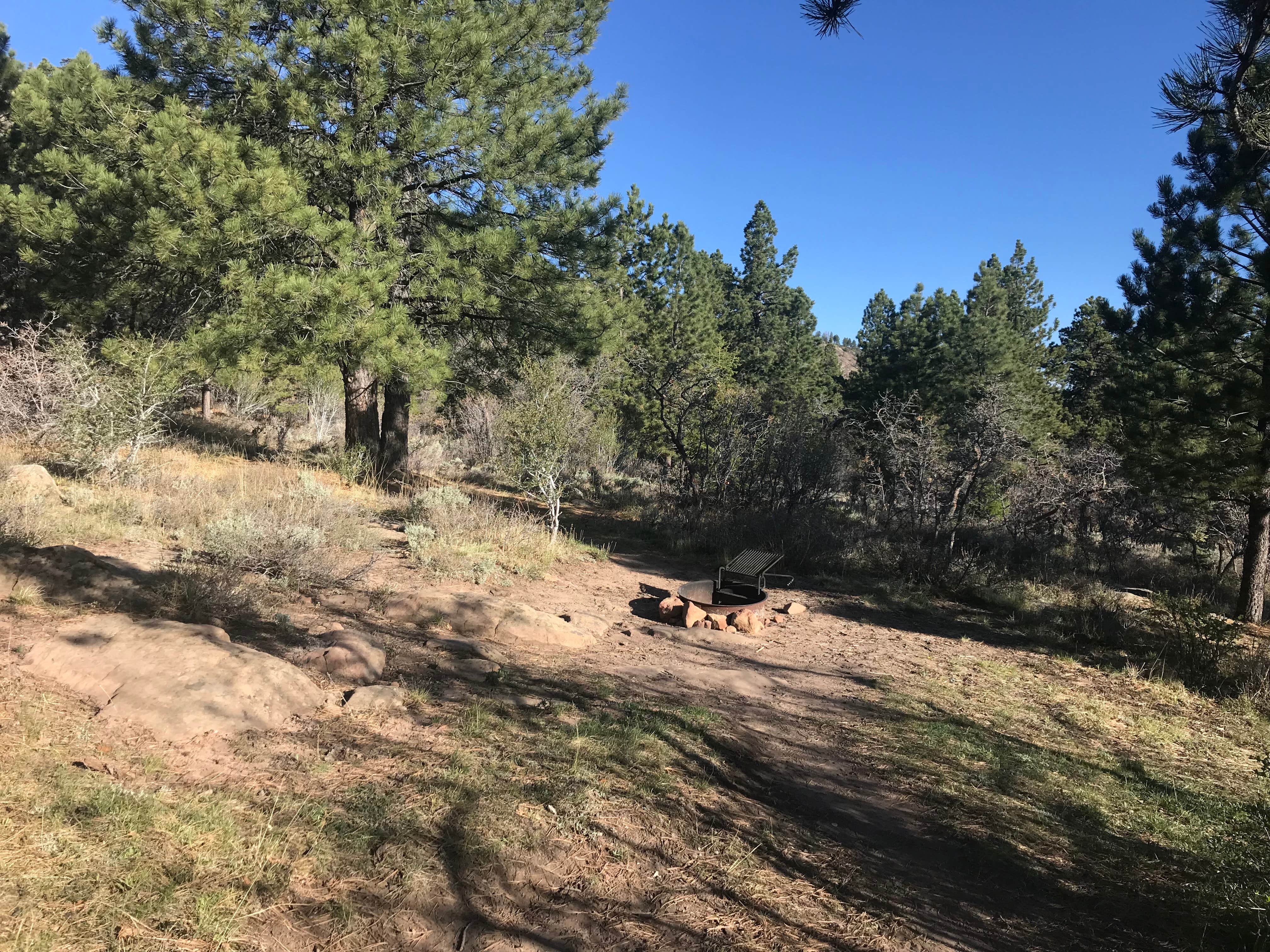 Camper submitted image from Price Canyon Recreation Area - 2