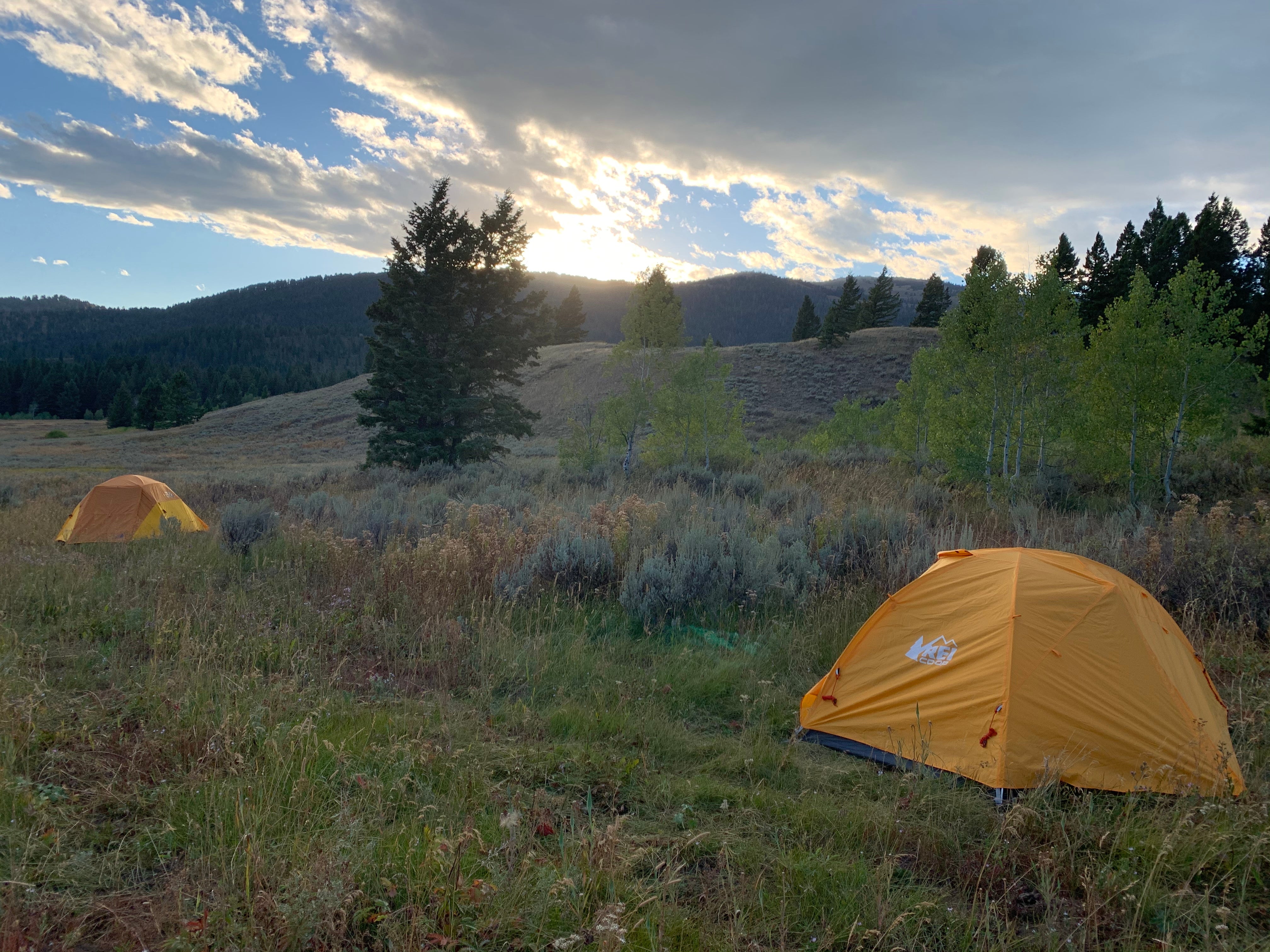 Camper submitted image from Targhee Creek - 4