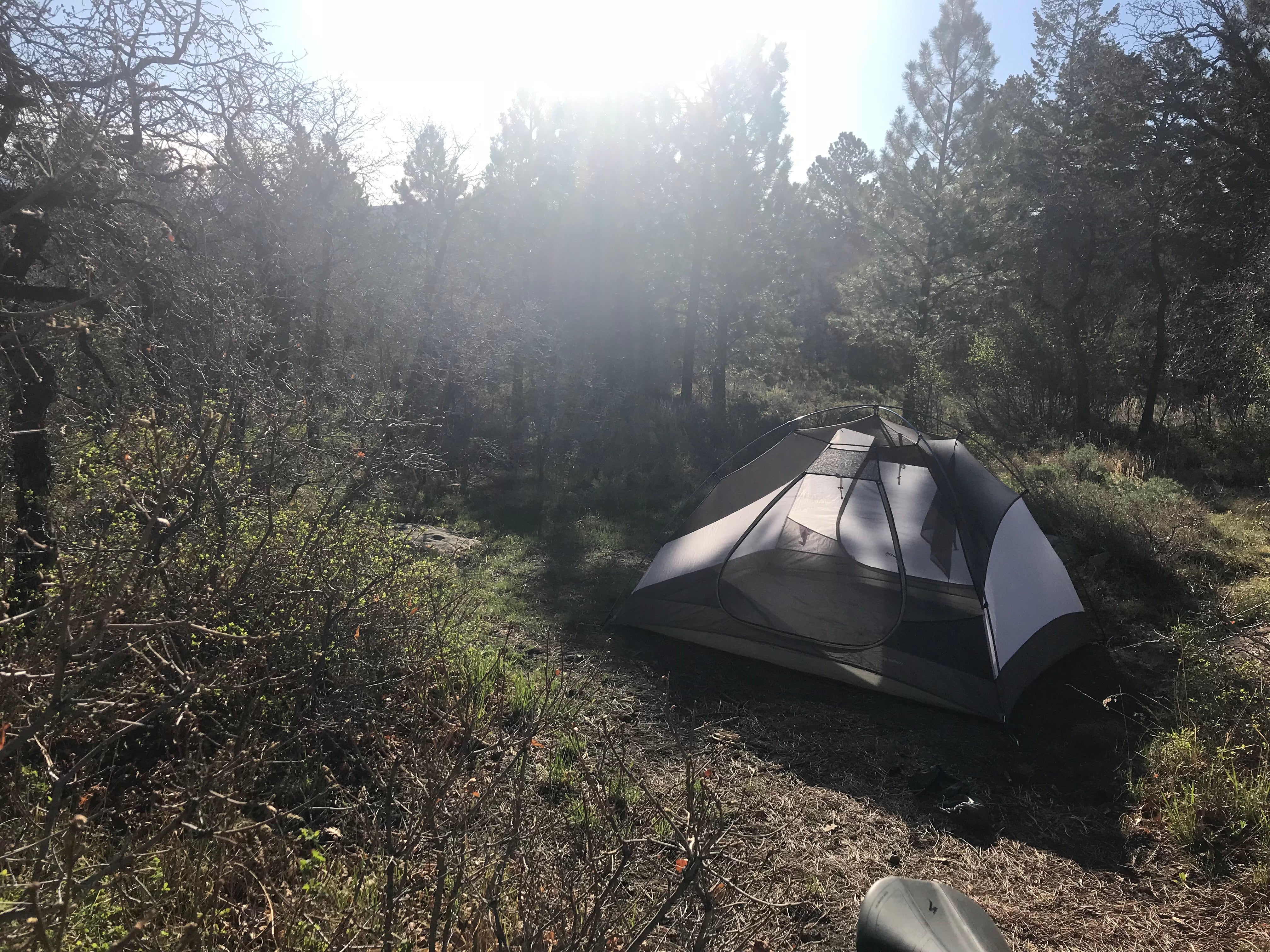 Camper submitted image from Price Canyon - 5