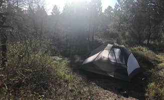 Jenny R.'s photo at Price Canyon Recreation Area near Kenilworth, UT