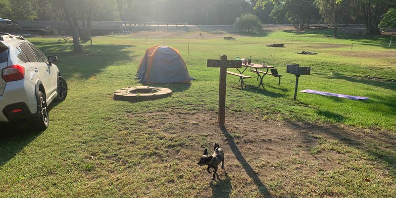 Camper submitted image from Beach RV Park