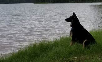 Tracy J.'s photo of camping with pets at Amity Campground near West Point Lake