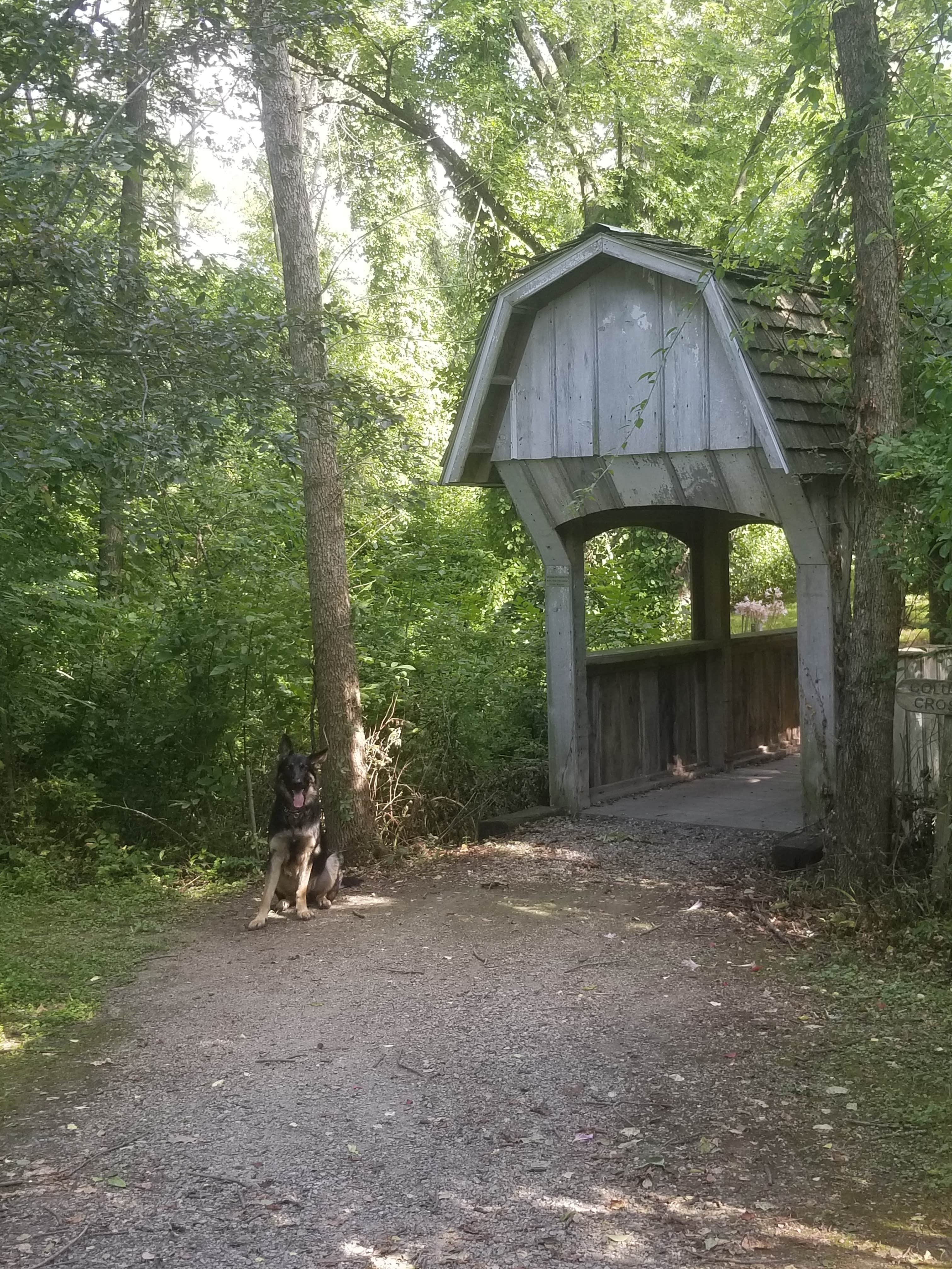 Tracy J.'s photo of camping with pets at Waubonsie Trail Park near Kirksville, MO
