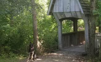 Tracy J.'s photo of camping with pets at Waubonsie Trail Park near Ottumwa, IA