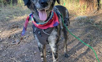 Keelia's photo of camping with pets at San Antonio Campground near Abiquiu Lake