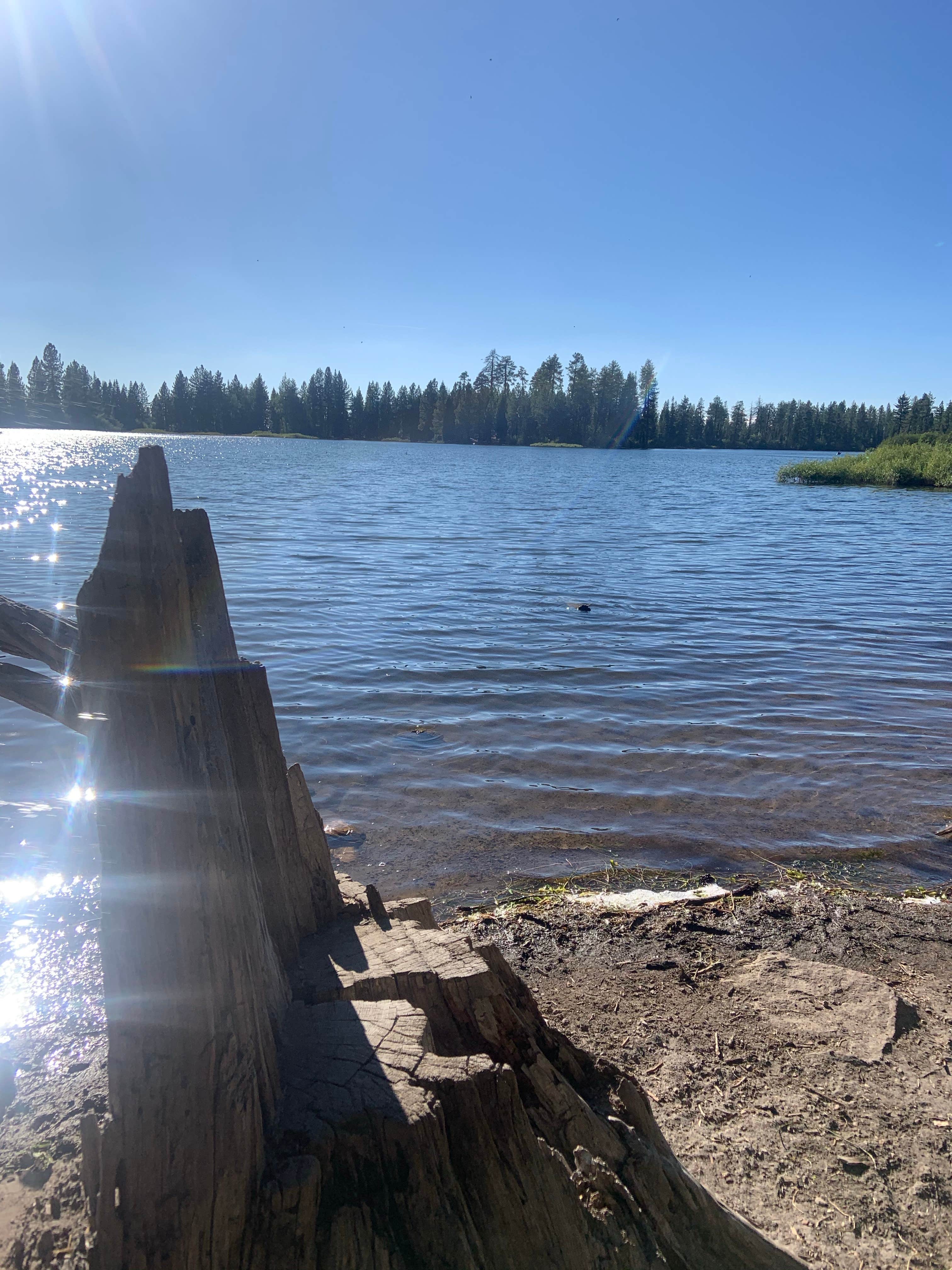 Camper-submitted photo at Summit Lake North — Lassen Volcanic National Park near Lassen Volcanic National Park