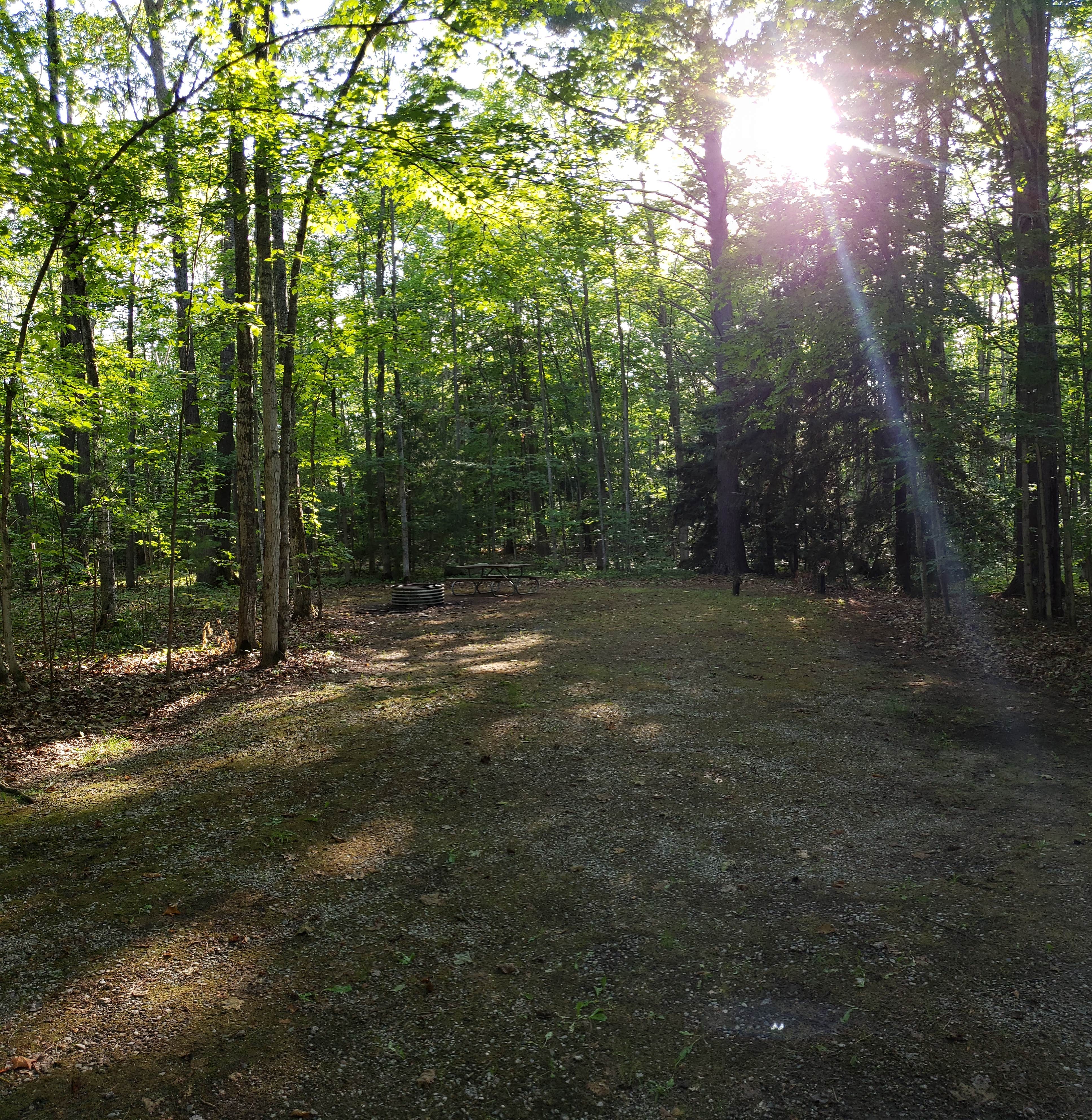 Camper submitted image from Twin Lakes State Forest Campground - 2