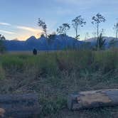 Review photo of Shadow Mountain Dispersed Camping by Steph B., September 3, 2020