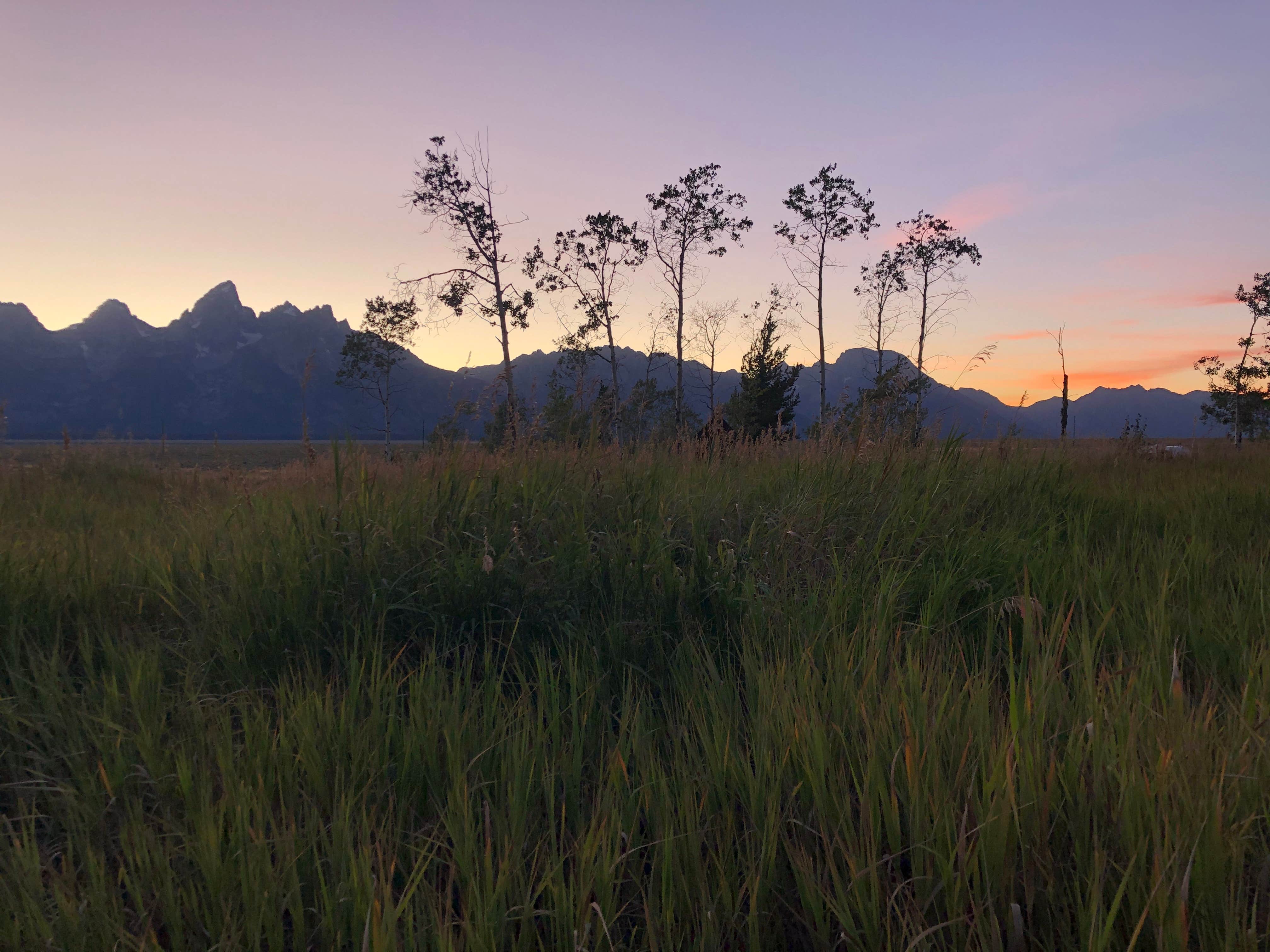 Steph B.'s photo of a dispersed camping area at Shadow Mountain Dispersed Camping near Moose, WY