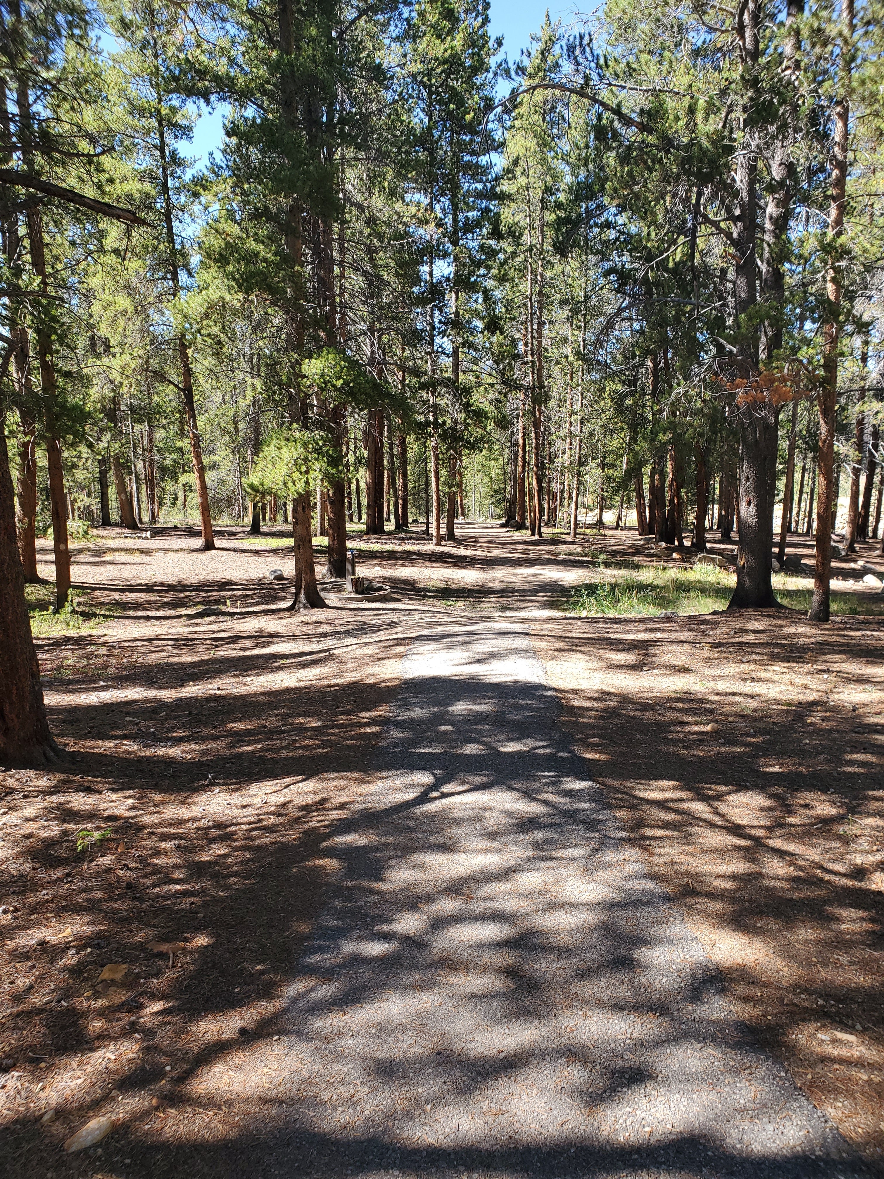 Camper submitted image from San Isabel National Forest Molly Brown Campground - 3
