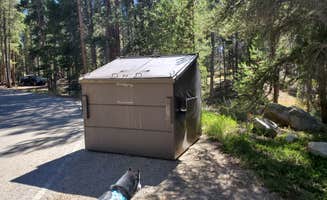 Katie H.'s photo of camping with pets at Molly Brown Campground near Climax, CO