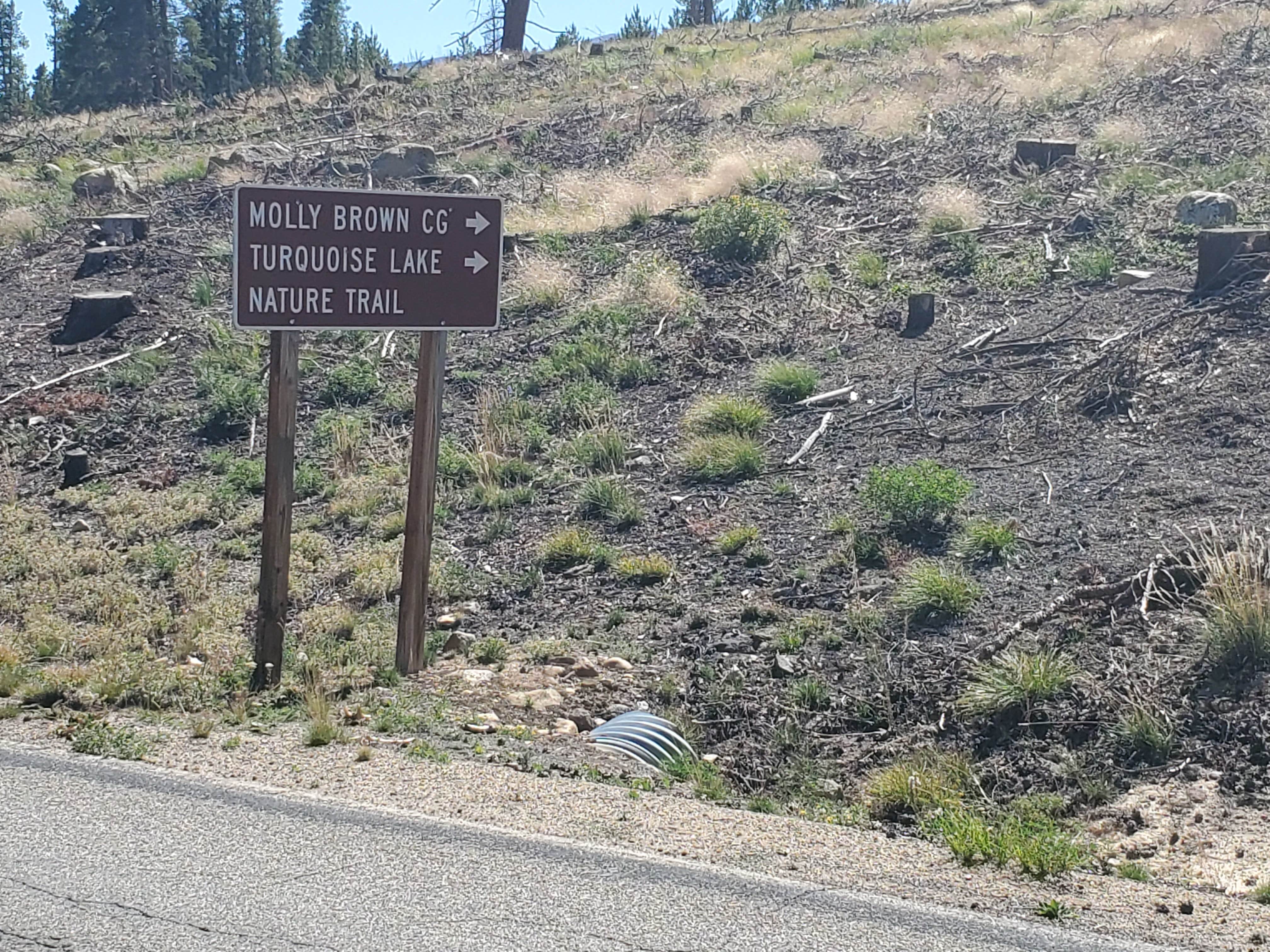 Camper submitted image from Molly Brown Campground - 4