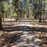 Review photo of Molly Brown Campground by Katie H., September 3, 2020