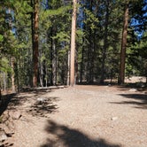 Review photo of Molly Brown Campground by Katie H., September 3, 2020