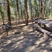 Review photo of Molly Brown Campground by Katie H., September 3, 2020