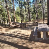 Review photo of Printer Boy Group Campground by Katie H., September 3, 2020