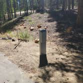 Review photo of Printer Boy Group Campground by Katie H., September 3, 2020