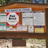 Review photo of Tabor Campground by Katie H., September 3, 2020