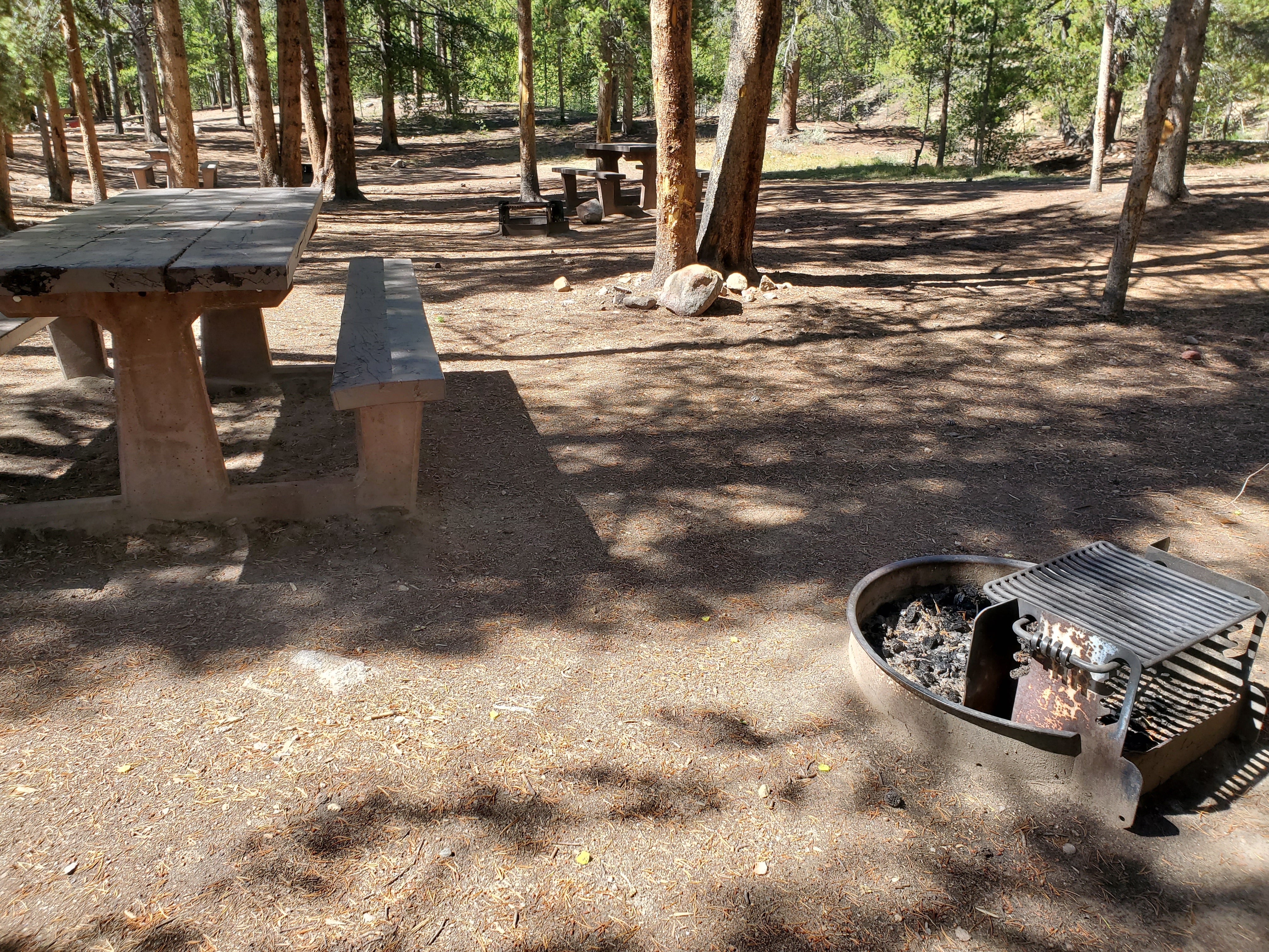 Camper submitted image from Tabor Campground - 2