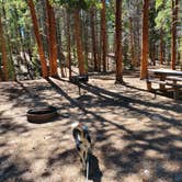 Review photo of San Isabel National Forest Father Dyer Campground by Katie H., September 3, 2020