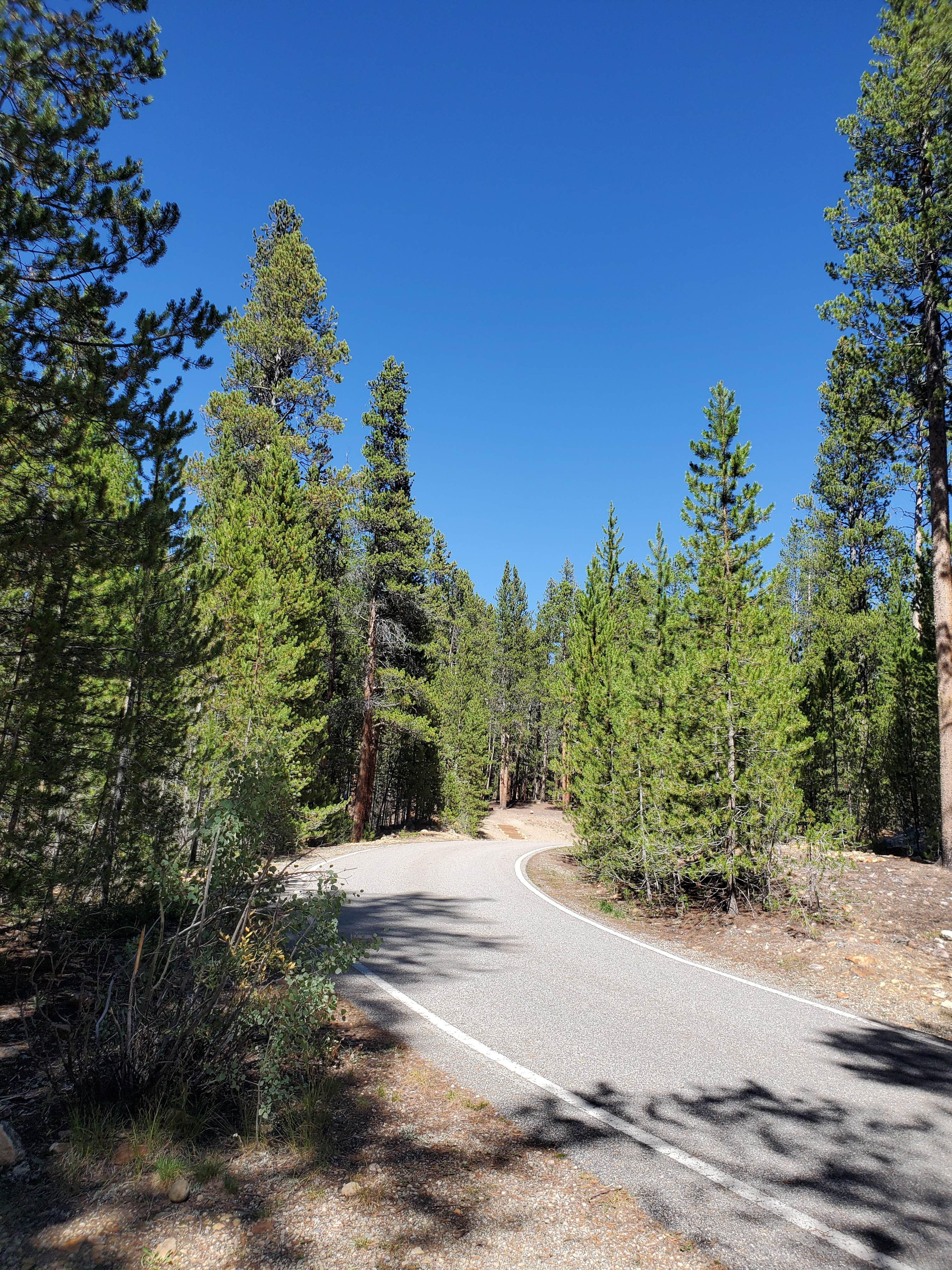 Camper submitted image from San Isabel National Forest Father Dyer Campground - 4