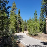 Review photo of San Isabel National Forest Father Dyer Campground by Katie H., September 3, 2020