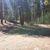 Review photo of San Isabel National Forest Father Dyer Campground by Katie H., September 3, 2020