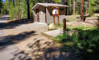 Camping near Baby Doe: San Isabel National Forest Father Dyer Campground, Leadville, Colorado