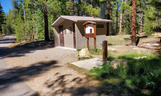 Camping near Matchless Campground: San Isabel National Forest Father Dyer Campground, Leadville, Colorado