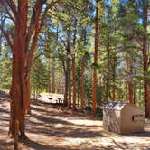 Review photo of San Isabel National Forest Father Dyer Campground by Katie H., September 3, 2020