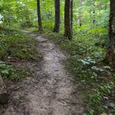 Review photo of Cowan Lake State Park Campground by Andrea F., September 3, 2020