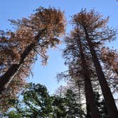 Review photo of Alder Creek Campground - Tentatively closed for 2022 by Raul P., July 7, 2016