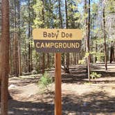 Review photo of San Isabel National Forest Baby Doe Campground by Katie H., September 3, 2020