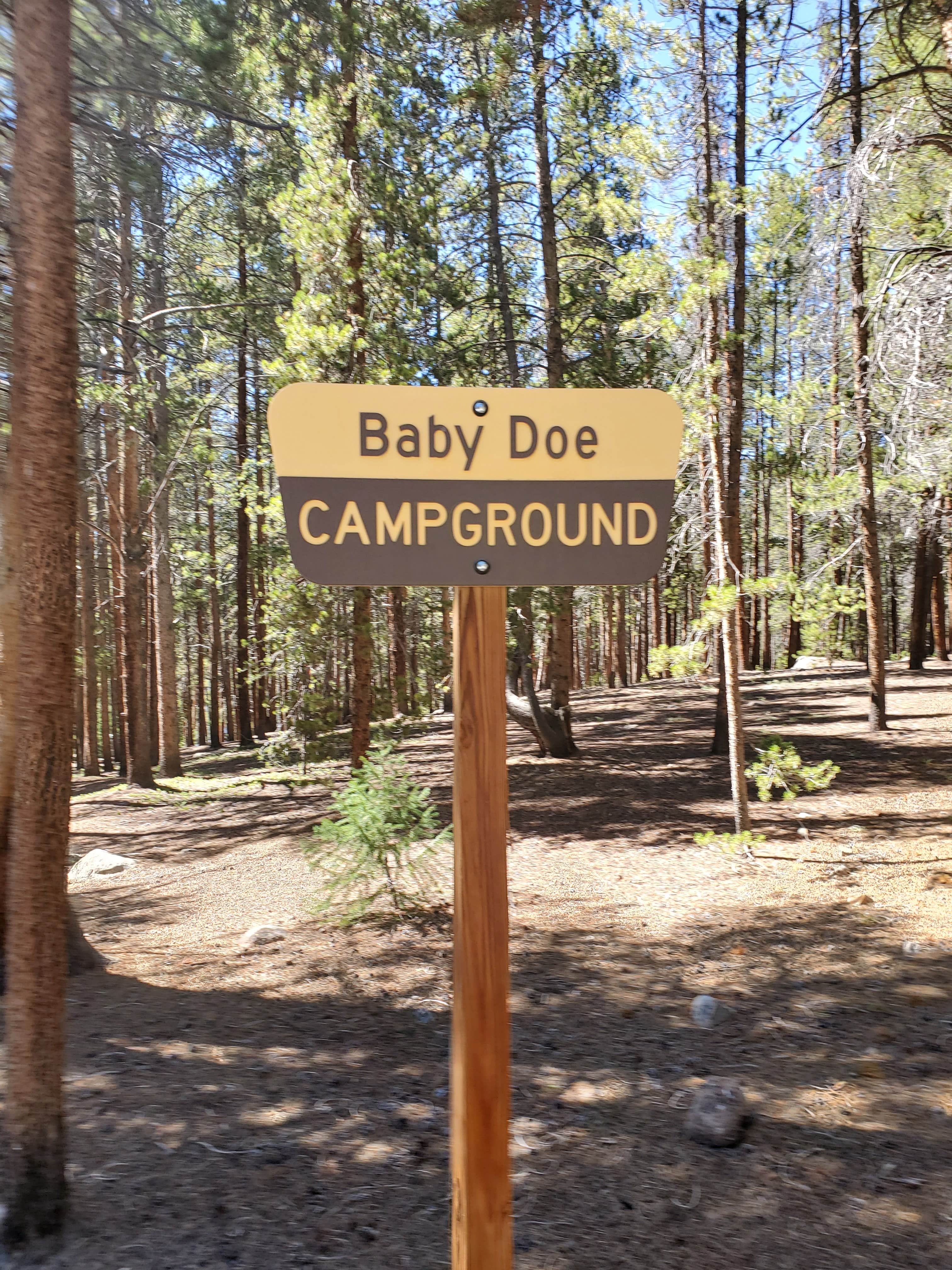 Camper submitted image from San Isabel National Forest Baby Doe Campground - 2