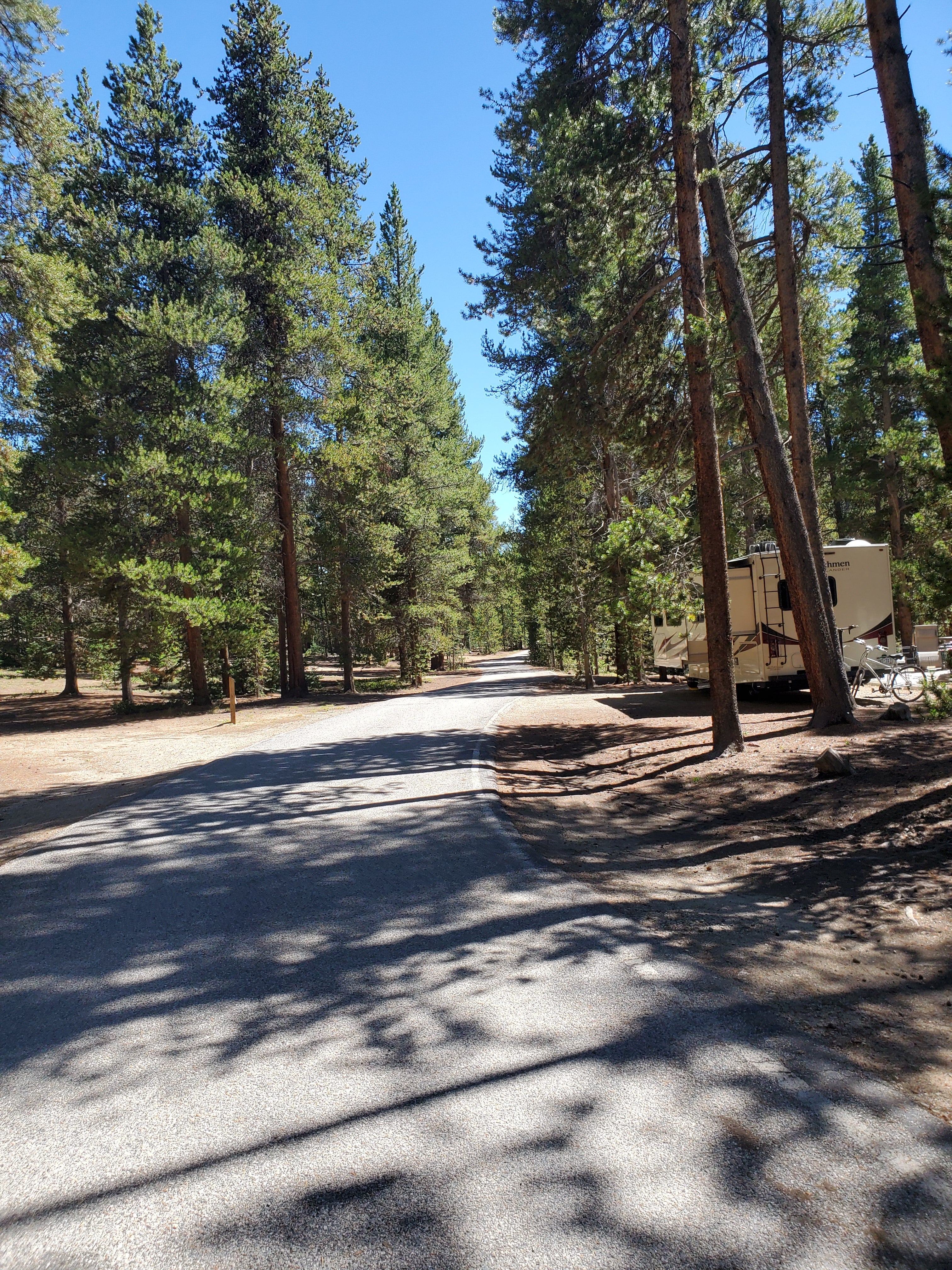 Camper submitted image from San Isabel National Forest Baby Doe Campground - 2