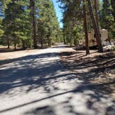 Review photo of San Isabel National Forest Baby Doe Campground by Katie H., September 3, 2020