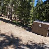 Review photo of San Isabel National Forest Baby Doe Campground by Katie H., September 3, 2020