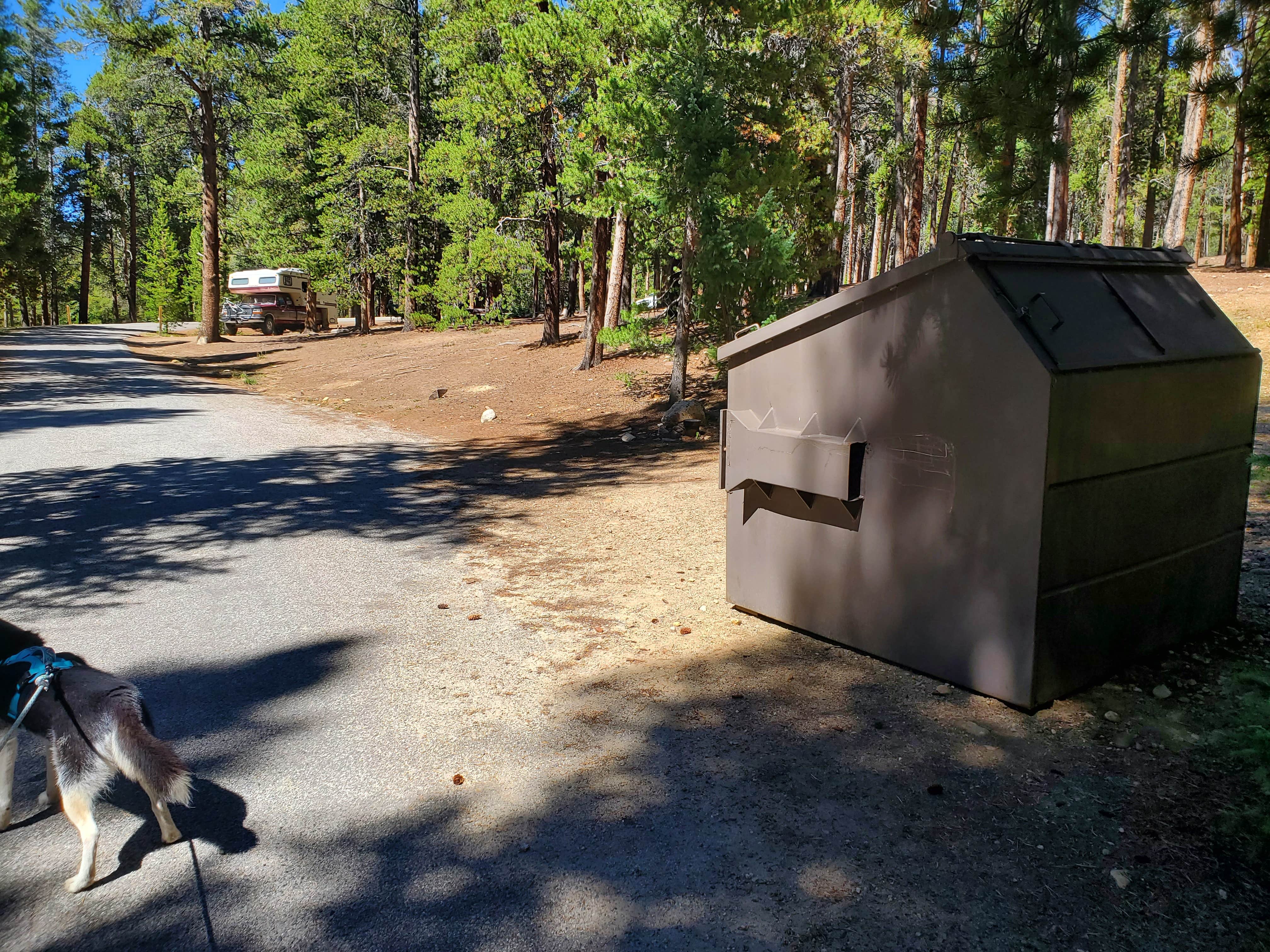Katie H.'s photo of camping with pets at San Isabel National Forest Baby Doe Campground near Leadville, CO